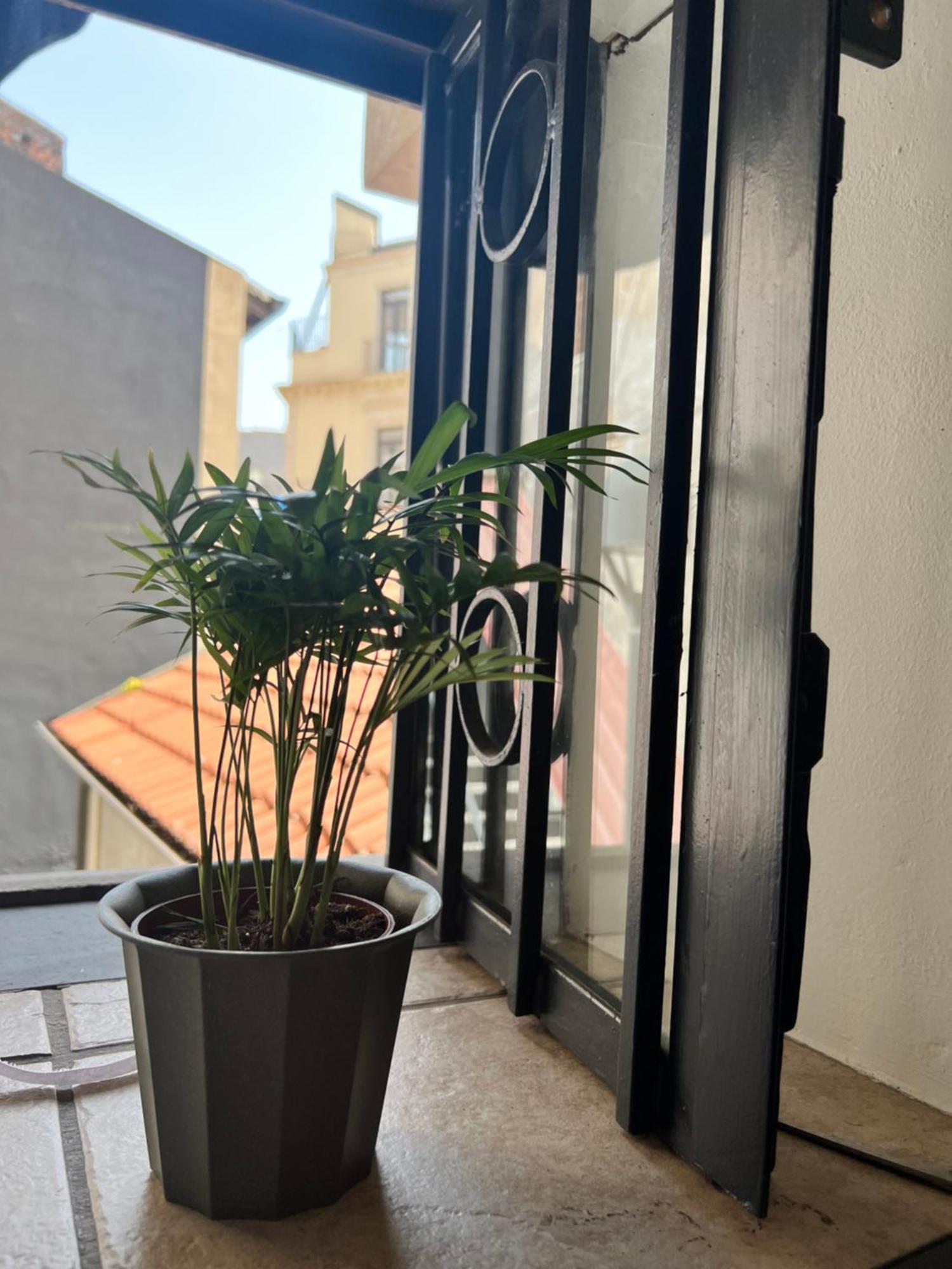Barcaioli'S Home Catania-Fontanarossai nemzetközi repülőtér Kültér fotó